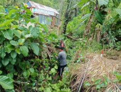 Babinsa Koramil 1418-05/Kalumpang Gelar Karya Bakti Bersihkan Saluran Air Di Desa Tamalea