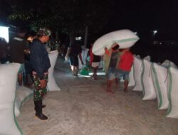 Dukung Ketahanan Pangan, Babinsa Koramil 1418-03/Kalukku Dampingi Serap Gabah Bersama Bulog dan Warga Desa Beru-Beru