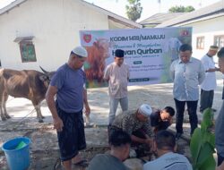 Wujud Syukur, Kodim 1418/Mamuju Laksanakan Penyembelihan Hewan Qurban di Idul Adhah 1446 H/2025 M