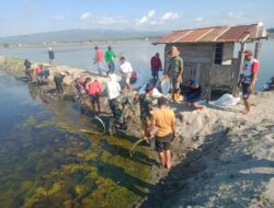 TNI dan Warga Tanam Mangrove di Pesisir Campalagian: Jaga Alam, Jaga Masa Depan